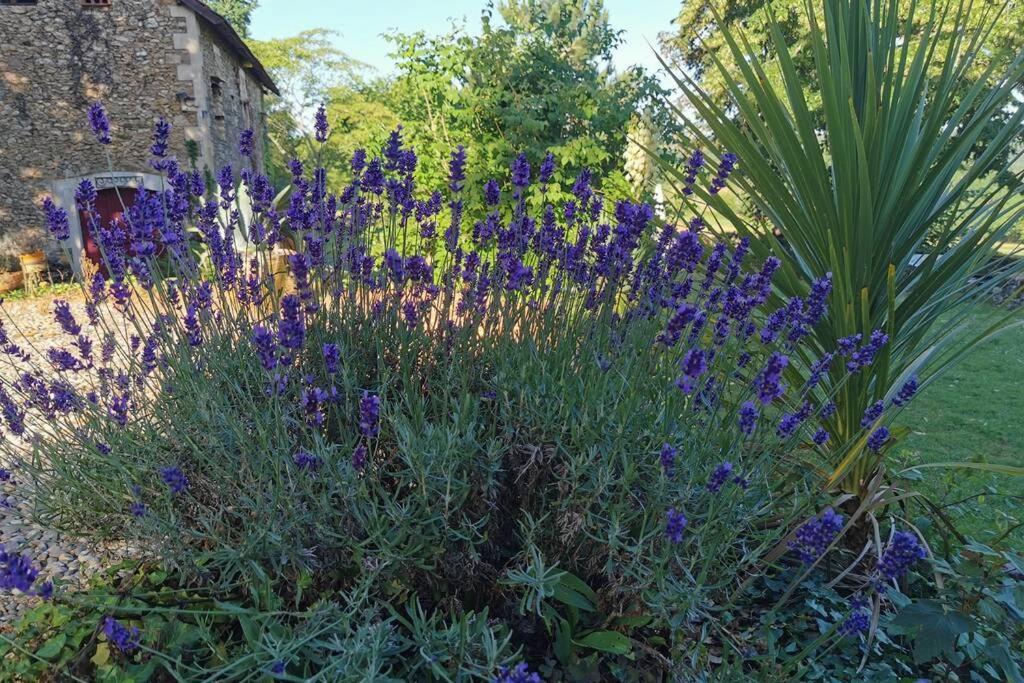Manoir Vaillant Gîte au cœur du Périgord noir Monplaisant Esterno foto