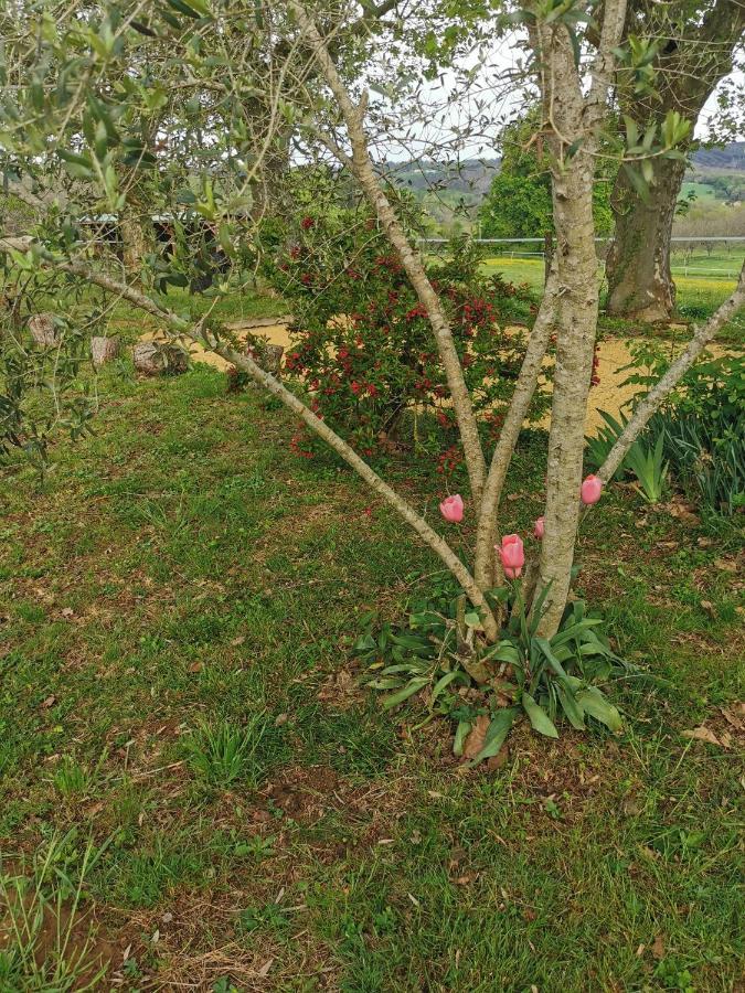 Manoir Vaillant Gîte au cœur du Périgord noir Monplaisant Esterno foto